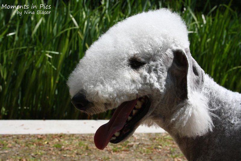 2010-05-23 Airis Blue Volshebny Svet (4)_1500x1000.jpg